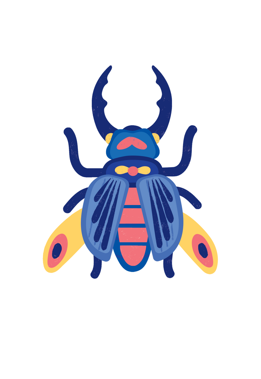 Insects Lovers - 3D Εντομα Les Ateliers