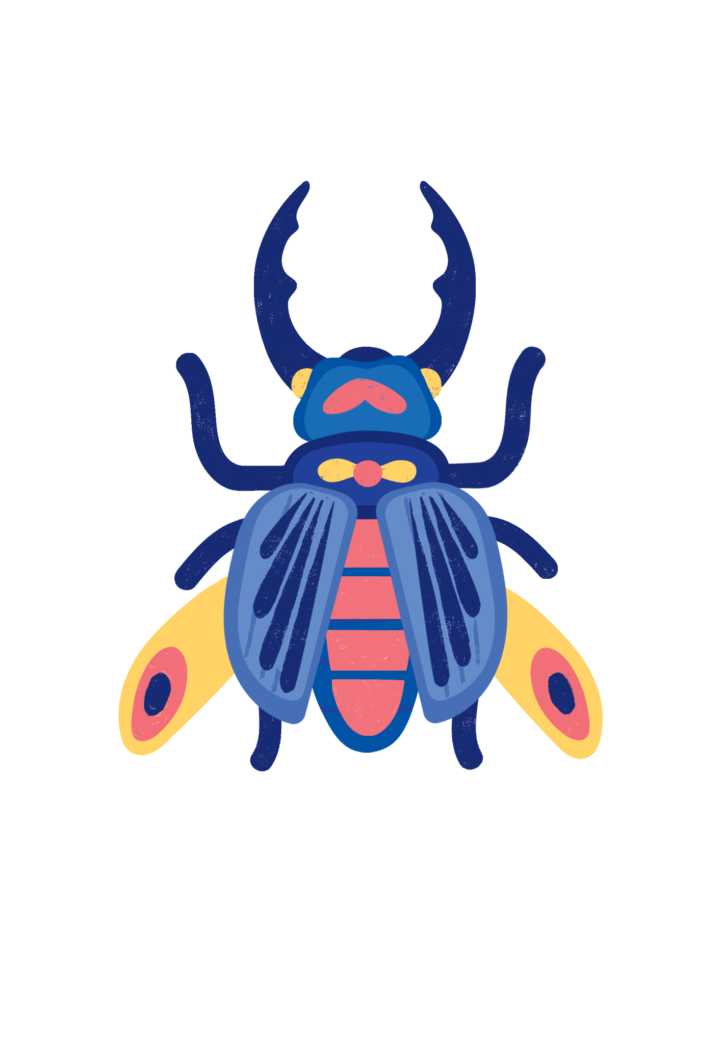 Insects Lovers - 3D Εντομα Les Ateliers