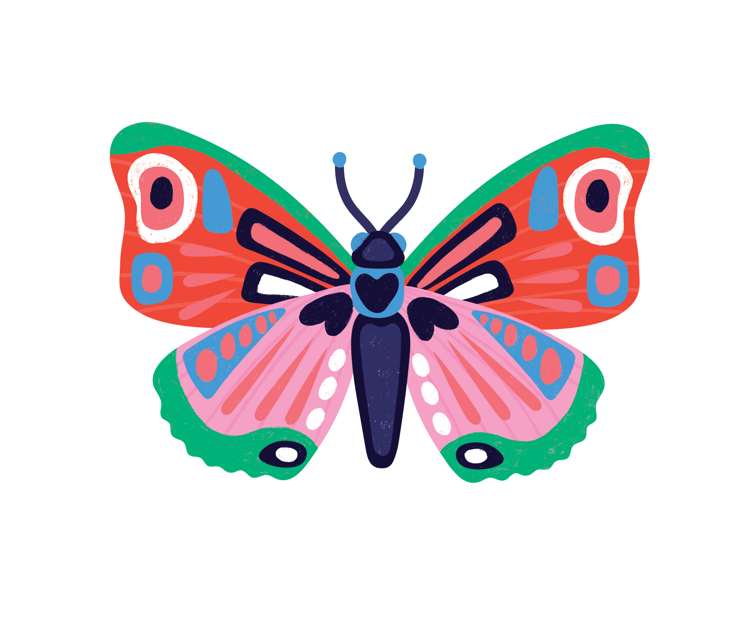 Insects Lovers - 3D Εντομα Les Ateliers