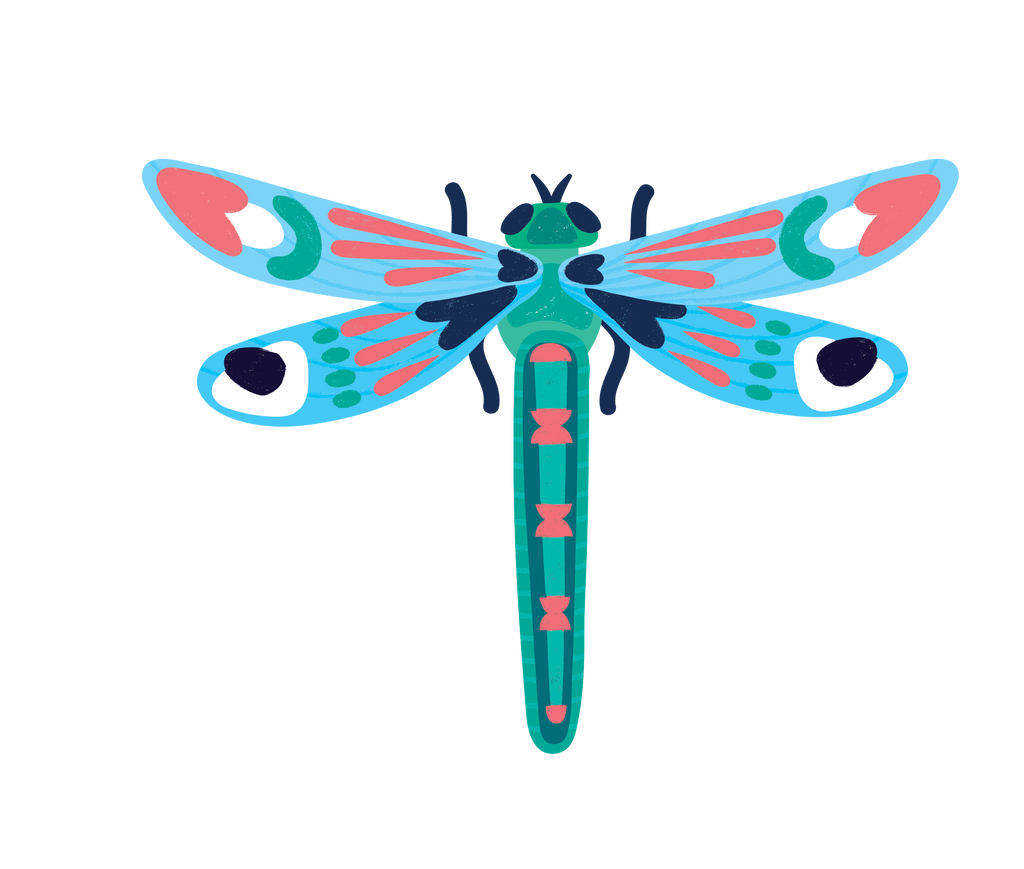 Insects Lovers - 3D Εντομα Les Ateliers