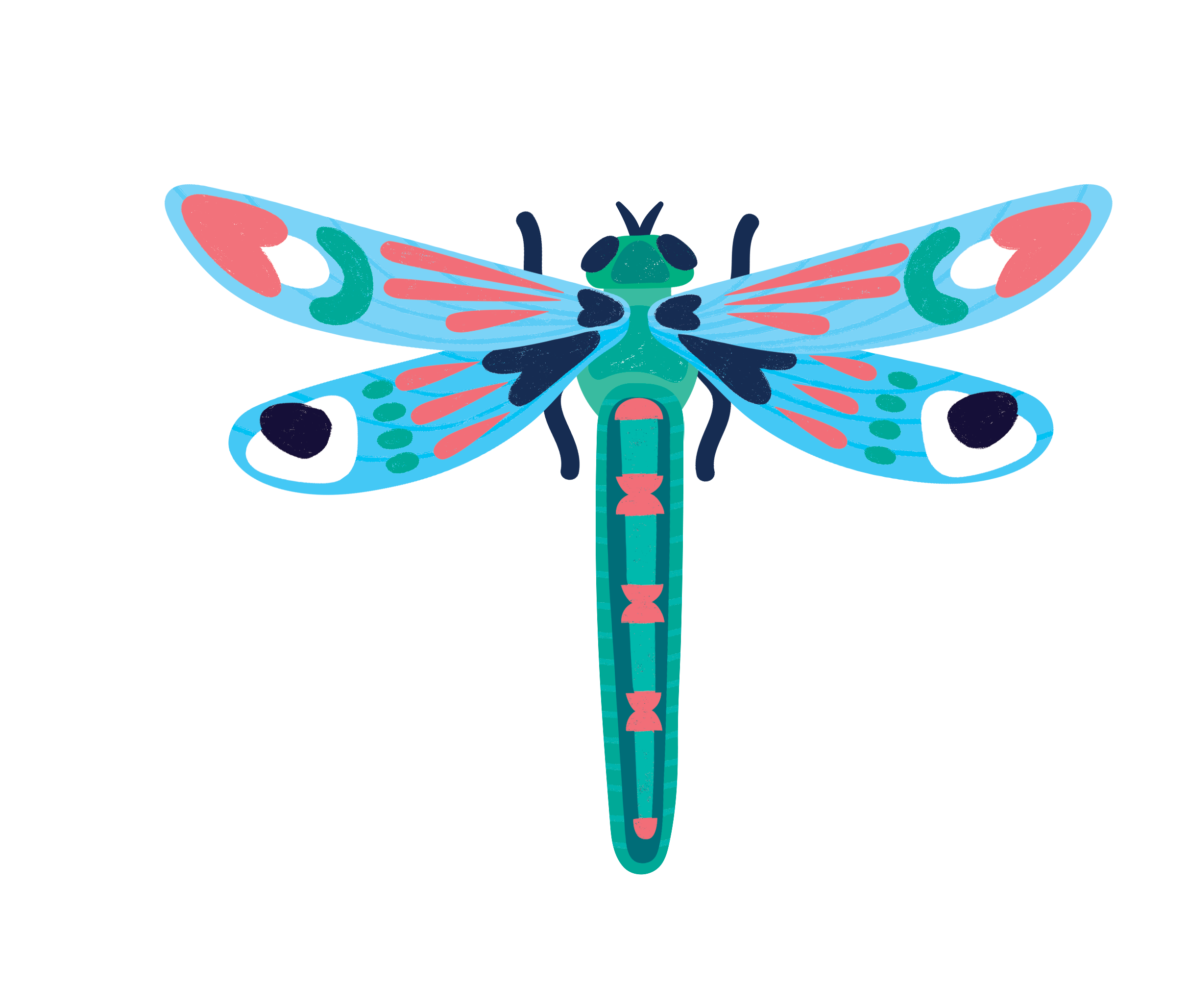Insects Lovers - 3D Εντομα Les Ateliers